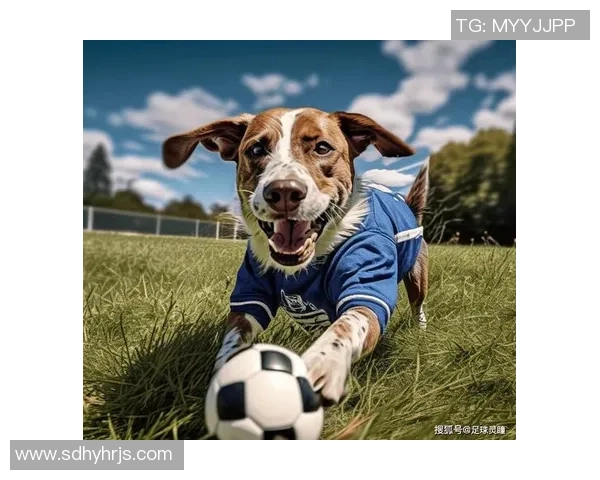 罗森博格与萨普斯堡激战在即比分预测与精彩分析一同欢呼吧